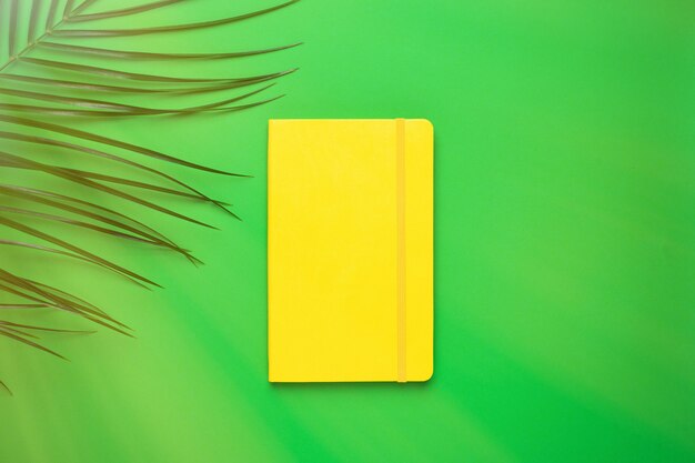 Cahier jaune et plante tropicale avec la lumière du soleil sur le vert
