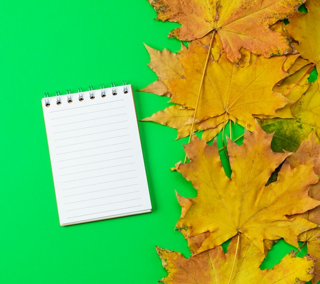 Cahier ouvert aligné avec des pages blanches