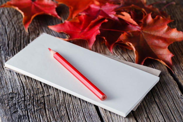 Photo cahier ouvert et stylo en automne ambiant