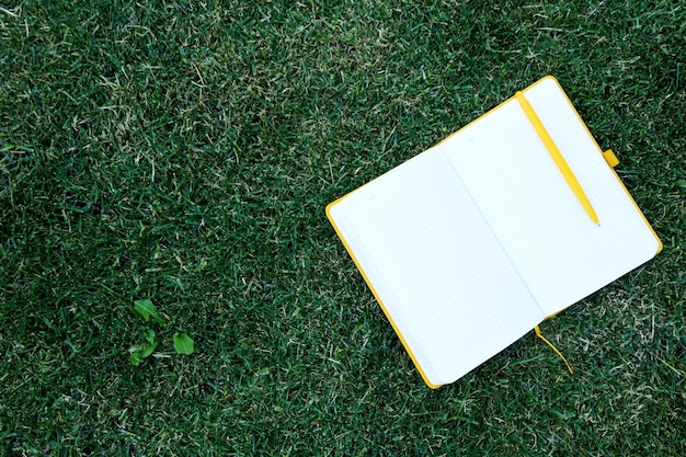 Cahier ouvert avec un stylo sur l'espace extérieur de l'herbe pour le texte