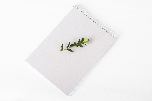 Photo cahier en papier bio avec brindille verte sur fond blanc. concept zéro déchet. excellente idée d'entreprise, concept de recyclage sur l'isolat blanc. respectueux de la nature