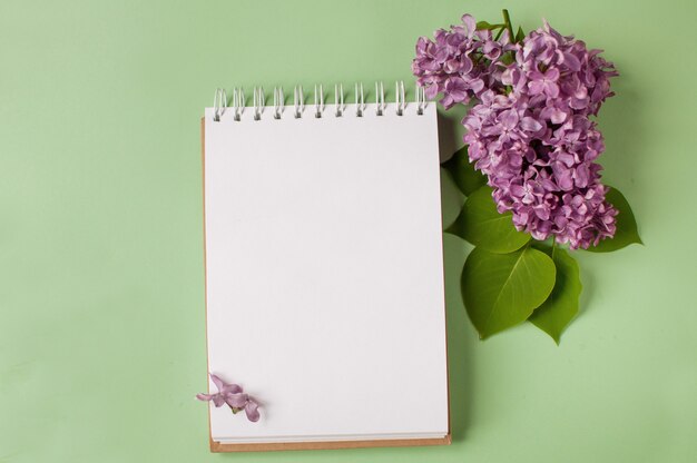 Un cahier sur un ressort se trouve sur un fond vert à côté d'une branche de lilas