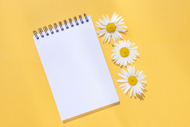 Cahier sur une spirale avec un drap vide et des fleurs de camomille sur un fond jaune vif.