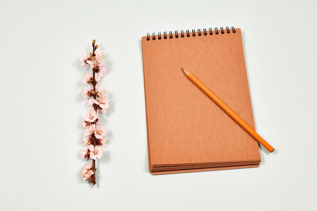 Cahier vierge avec un crayon sur fond bleu et des brindilles avec des fleurs d'abricot blanc Vue de dessus avec espace de copie