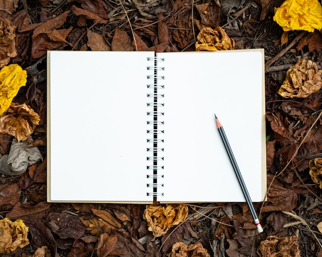 Un cahier vierge et un crayon placé sur une feuille jaune, rouge, orange et automne des fleurs séchées à l'automne nature background vue de dessus