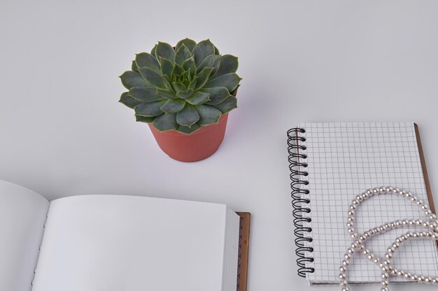 Cahiers ouverts vierges vue de dessus avec plante d'intérieur