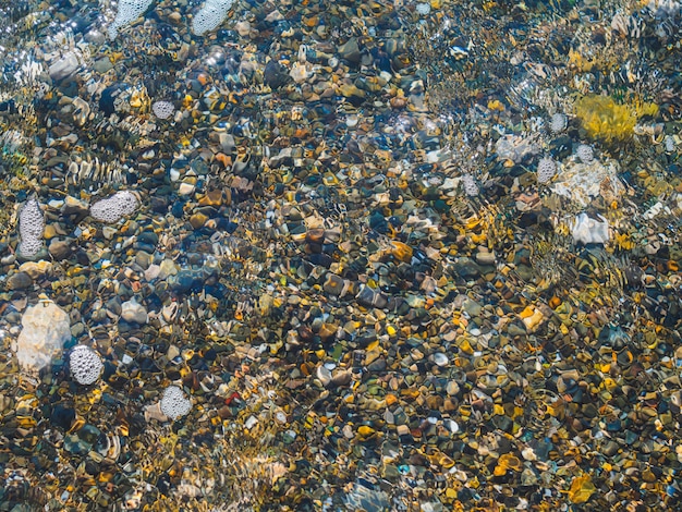 Un caillou arrondi brille dans l&#39;eau claire