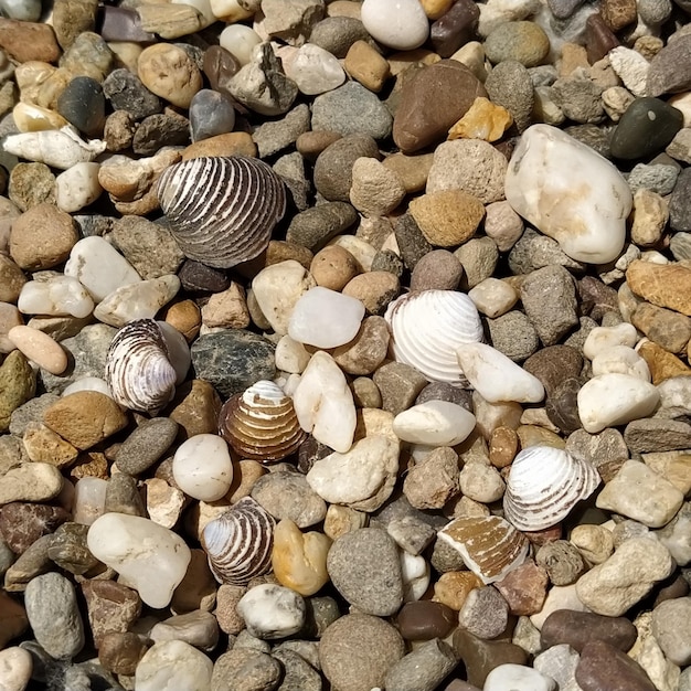 Cailloux comme image d'arrière-plan blanc gris brun rougeâtre petites pierres ou cailloux