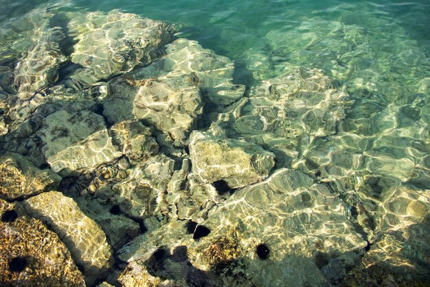 Des cailloux sous l'eau claire dans la mer près du rivage par temps ensoleillé