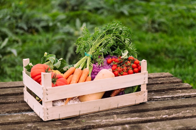 Caisse pleine de légumes et verts dans un champ