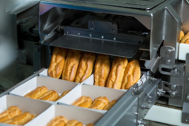 Caisses avec pâtisserie sur convoyeur Dispositif de mise en caisse des éclairs Production automatisée d'aliments sucrés Aliments à haute teneur en sucre