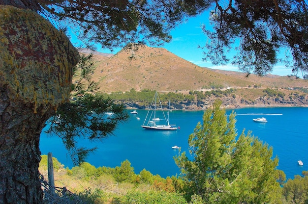 Cala Joncols est une petite plage de Gérone Costa Brava Espagne