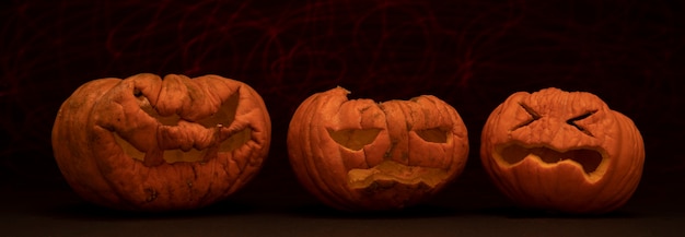 Calabazas talladas para Halloween con fondo de color negro