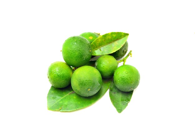 Calamansi sur fond blanc