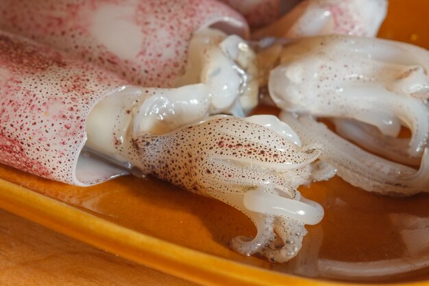 Calamars crus sur bois