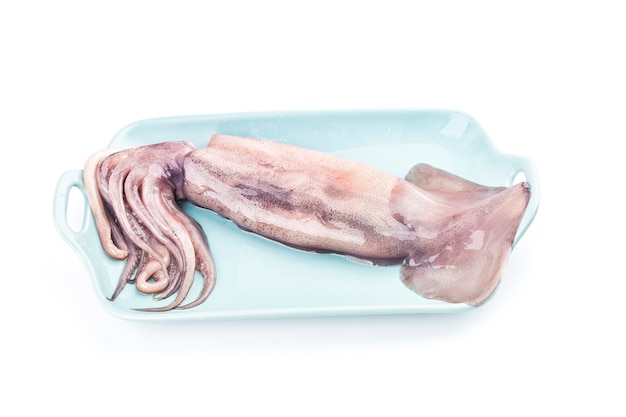 Calamars isolés. Vue de dessus des calmars frais sur fond blanc.