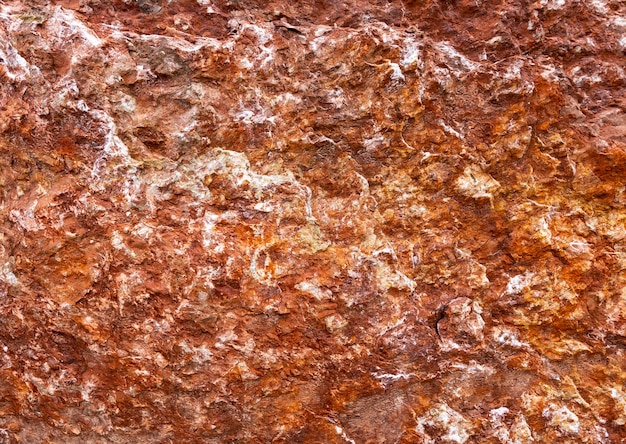 Calcaire fossilifère rouge