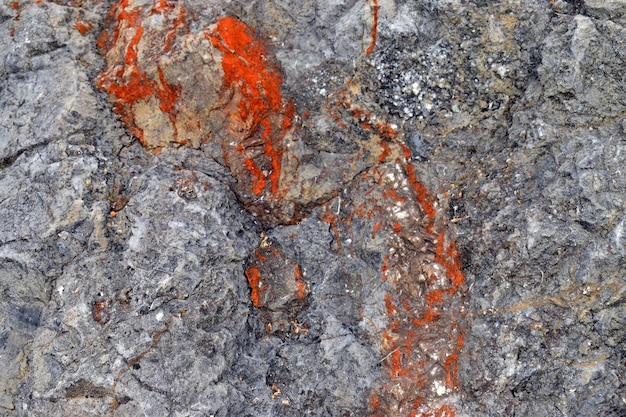 Calcaire urgonien du Crétacé Aptien inférieur 119 Mya