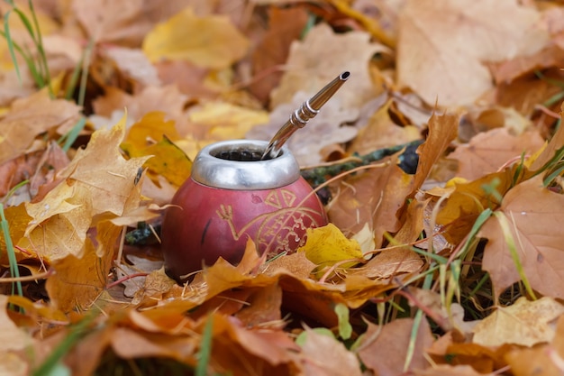 Calebasse d'argent parmi les feuilles d'automne