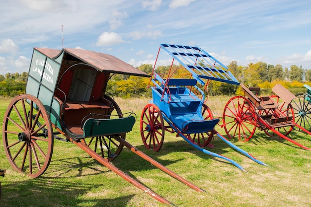 Calèches anciennes exposées sous le soleil