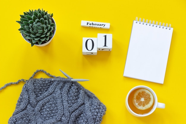 Calendrier 1er Février. Tasse De Thé, Bloc-notes En Tissu Succulent Sur Les Aiguilles à Tricoter