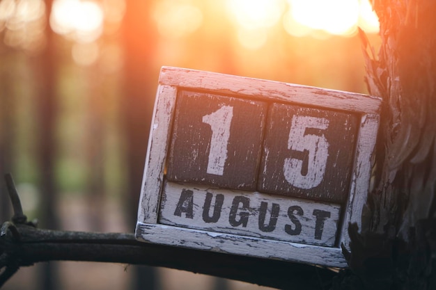 Photo calendrier en bois du mois d'été du 15 août, branche en forêt sur fond de coucher de soleil lumineux, jour de l'indépendance de l'inde