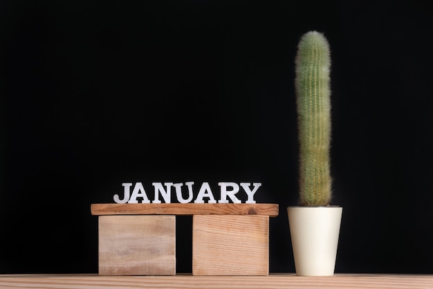 Calendrier en bois de janvier et cactus sur fond noir. Maquette.