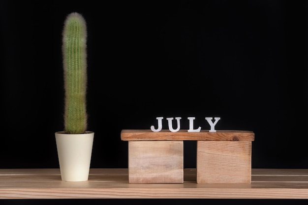 Calendrier en bois de juillet et cactus sur fond noir Maquette