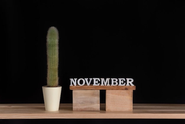 Calendrier en bois de novembre et cactus