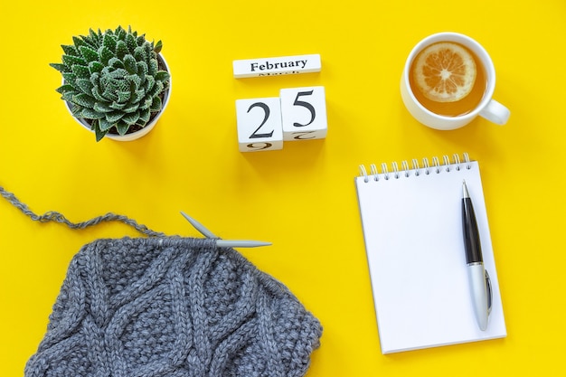 Calendrier des cubes en bois le 25 février. Tasse de thé au citron, bloc-notes ouvert vide pour le texte. Pot avec tissu succulent et gris sur aiguilles à tricoter sur fond jaune. Vue de dessus Concept de maquette à plat