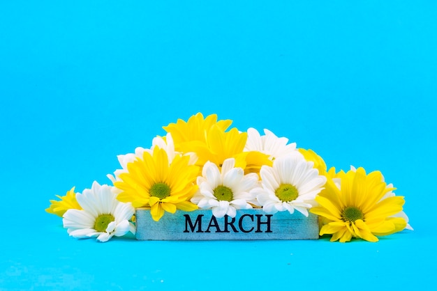 Photo calendrier du 8 mars, journée mondiale de la femme