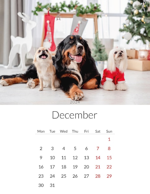 Calendrier photo de décembre 2024 avec des chiens mignons Modèle de planificateur quotidien annuel avec des animaux de compagnie pour chiens La semaine commence lundi
