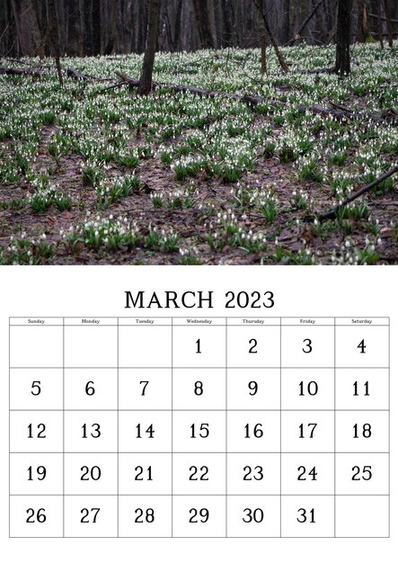 Calendrier avec photo nature pour mars 2023