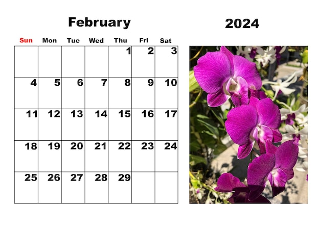 Calendrier pour février 2024 avec une photo de fleurs tropicales