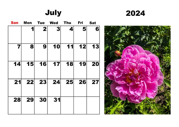 Calendrier pour le mois de juillet 2024 avec une photo de la nature