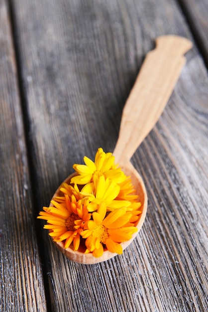 Calendula dans une cuillère en bois sur une table en gros plan