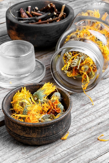 Calendula médicinal alternatif