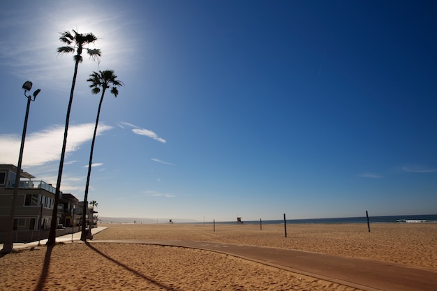 California Newport Beach Avec De Hauts Palmiers