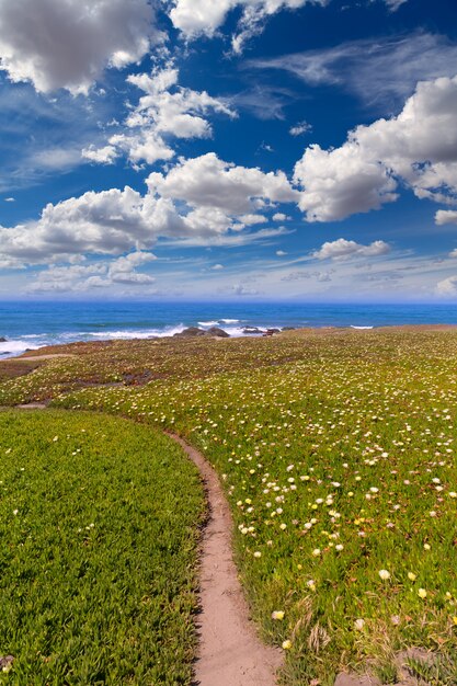 California Pigeon Point beach à Cabrillo Hwy Coastal Highway 1