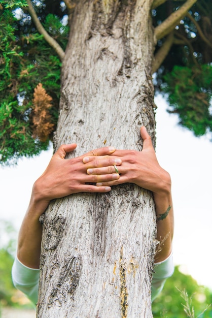 Photo le câlin de l'arbre