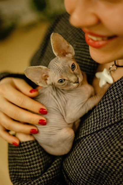 Photo des câlins d'une jeune femme avec un petit chaton de sphinx canadien sans poils