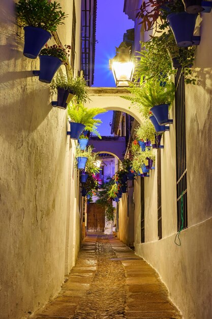 Calleja de las Flores avec des plantes et des pots au crépuscule dans la pittoresque ville de Cordoue en Espagne.