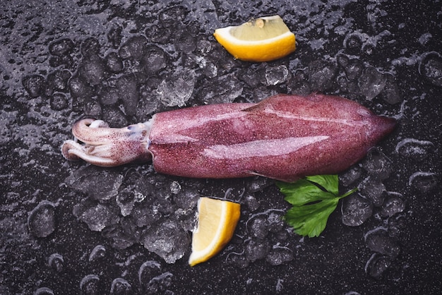 Calmars frais poulpes ou seiches pour le restaurant de salades de plats cuisinés, calmars crus sur glace avec persil citronné sur le marché des fruits de mer à assiette noire