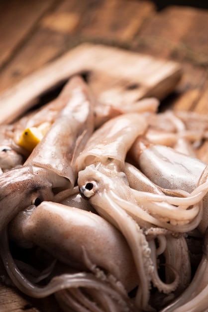 Calmars totani frais de la mer méditerranée. Marché de Sicile