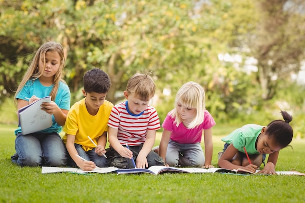 Camarades de classe assis dans l&#39;herbe et étudier