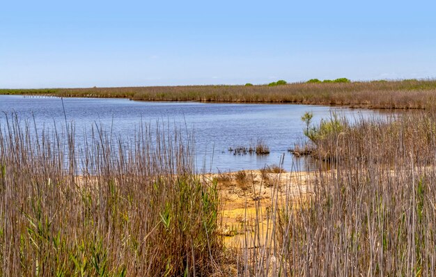 La Camargue en France