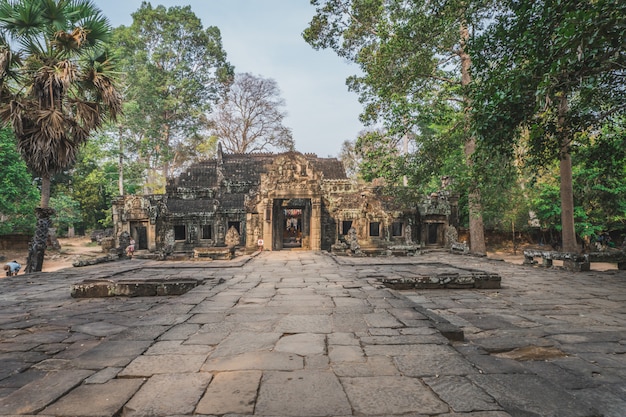 Cambodge Angkor Wat Ta Prohm Temple