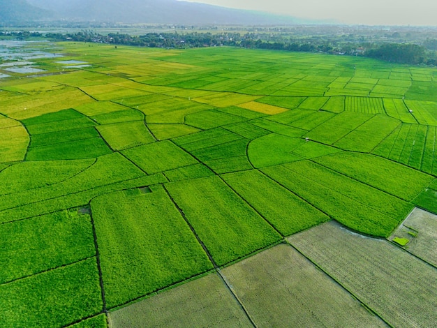 Caméra Drone FIMI