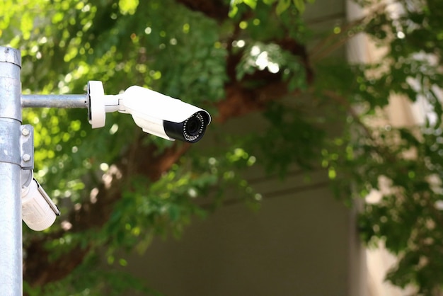 Caméra de sécurité CCTV dans la rue de la ville avec la technologie de fond de bâtiment et de feuilles vertes