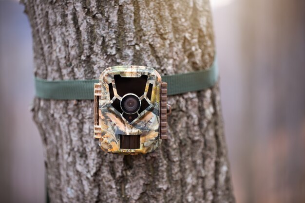 Caméra De Surveillance Pour La Surveillance De La Faune Fixée à Un Arbre Avec Sangle Verte